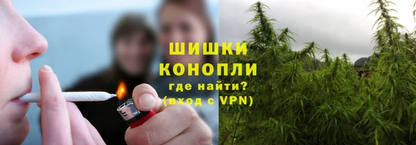 молекула духа Аркадак
