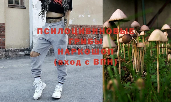 прущий лед Арсеньев