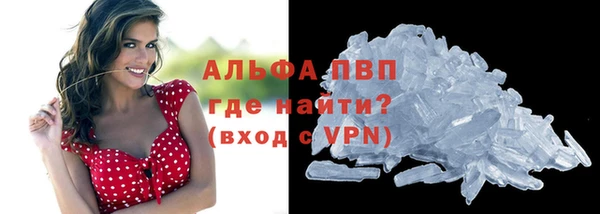 молекула духа Аркадак