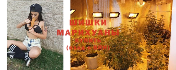 молекула духа Аркадак