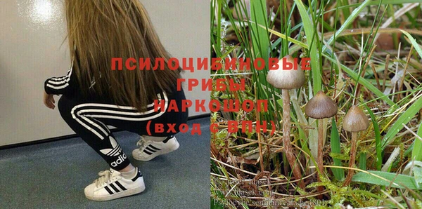 молекула духа Аркадак