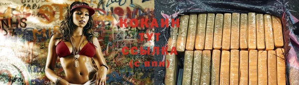 прущий лед Арсеньев