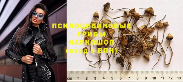 прущий лед Арсеньев